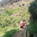 Levada Serra D´Agua - Easy Pickup and Transport to the Levada Starting Point