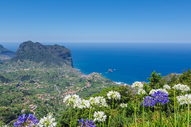 Levada Walk from Ribeiro Frio to Portela - The Laurel Forest (Laurisilva): A UNESCO World Heritage Site