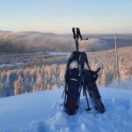 Levi: Gentle Snowshoe Walk in Winter Wilderness - Exploring the Peaceful Arctic Forests Near Levi