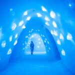 Levi: Guided Trip to Lainio SnowVillage - Marvel at the Ice Art and Snow Suites