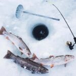 Levi: Ice Fishing Experience with Hot Drink - The Role of the Local Guide in the Activity