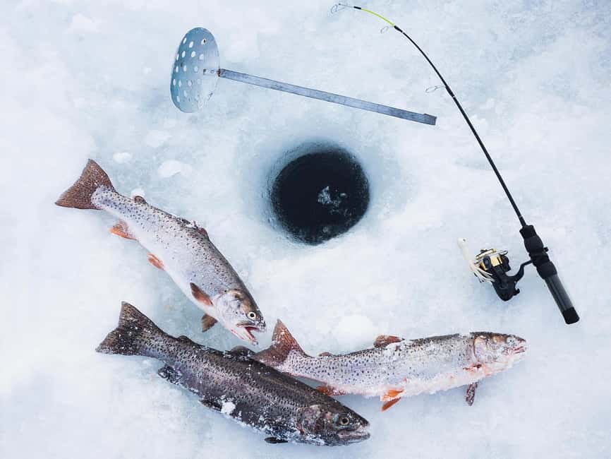 Levi: Ice Fishing Experience with Hot Drink - The Role of the Local Guide in the Activity