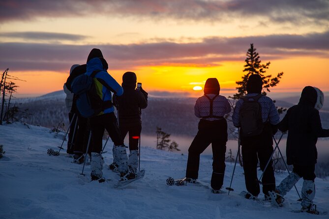Levi: Snowshoeing adventure in the National Park - Snowshoeing Through Lapland’s Famous Landscape