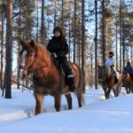 Levi: Snowy Forest Ride and Polar Lights Tours - Starting Point and Transportation from Levi