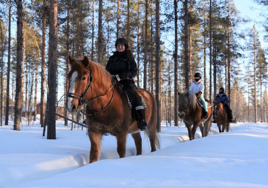 Levi: Snowy Forest Ride and Polar Lights Tours - Starting Point and Transportation from Levi