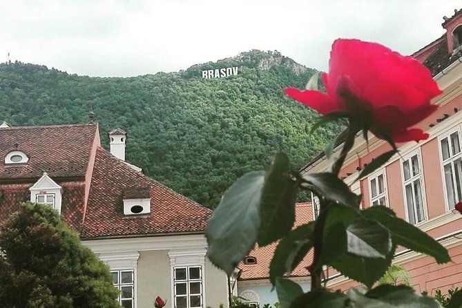 LiBEARty - the Brown Bear Sanctuary from Zarnesti - Visiting Bran Castle, Dracula’s Legendary Home