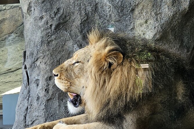 Lincoln Park Nature Museum and Zoo Public Walking Tour - The Lincoln Park Zoo: A Historic Urban Animal Haven
