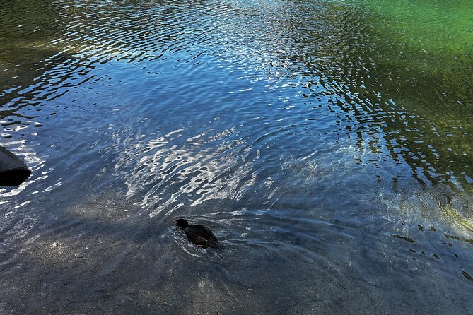 Lindeman and Chilliwack Lakes Sightseeing Tour - Discovering Chilliwack Lake’s Peaceful Waters