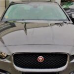 Lisbon & Algarve Private Luxury Road Trip - Discovering the Charm of Sesimbra Fishing Village