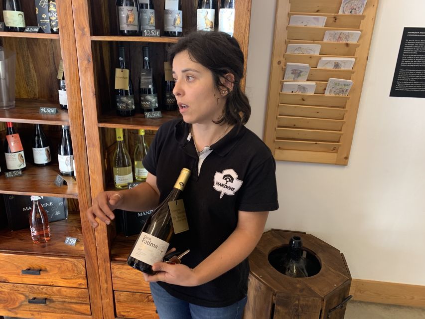 Lisbon Area Wine Tour - Starting in Lisbon and Exploring Coastal Towns