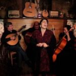 Lisbon: Fado Experience Private Tour - Pickup and Transportation in Lisbon and Nearby Areas