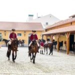 Lisbon: Portuguese Riding School Trainig with Lusitano Horse - Observation of Lusitano Horses During Morning Warm-up Exercises