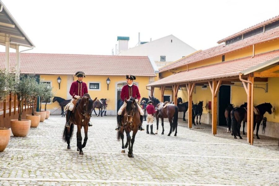 Lisbon: Portuguese Riding School Trainig with Lusitano Horse - Observation of Lusitano Horses During Morning Warm-up Exercises