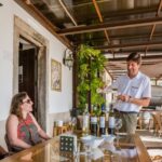 Lisbon Private Setúbal Region Wine Tasting Tour - How the Tour Operates and What’s Included