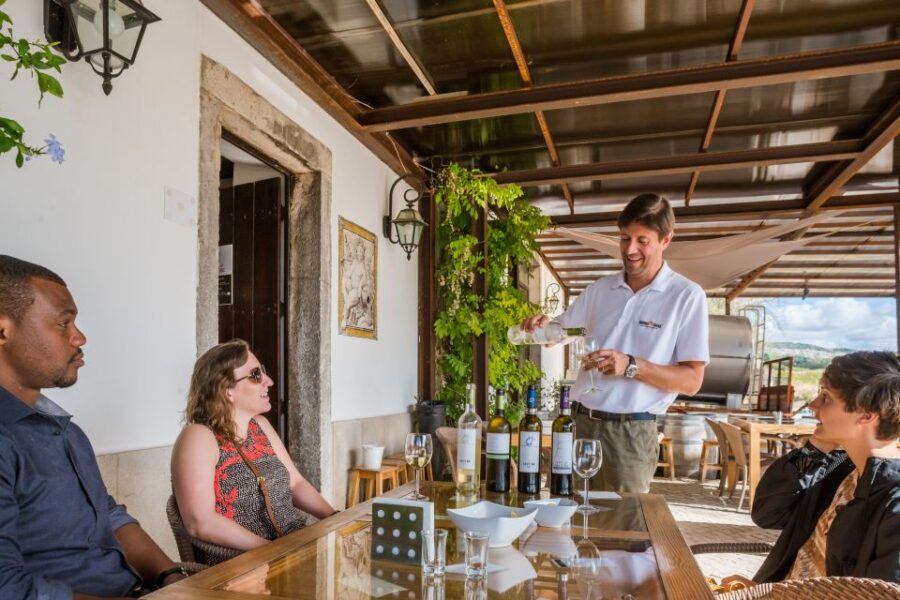 Lisbon Private Setúbal Region Wine Tasting Tour - How the Tour Operates and What’s Included