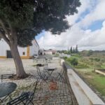 Lisbon: Private Tour Evora with Wine Tasting at the Cartuxa - From Lisbon to Évora: Comfortable Private Transport