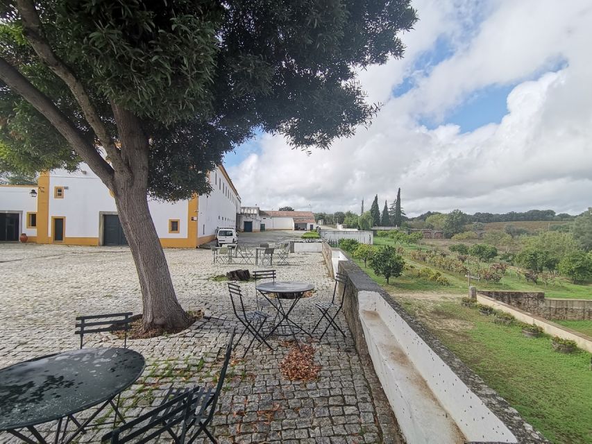 Lisbon: Private Tour Evora with Wine Tasting at the Cartuxa - From Lisbon to Évora: Comfortable Private Transport