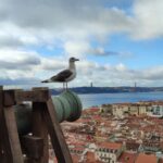Lisbon: São Jorge Castle Skip-the-Line Ticket & Guided Tour - The Location and Meeting Point for the Castle Tour