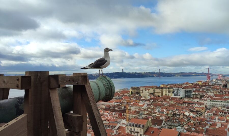 Lisbon: São Jorge Castle Skip-the-Line Ticket & Guided Tour - The Location and Meeting Point for the Castle Tour