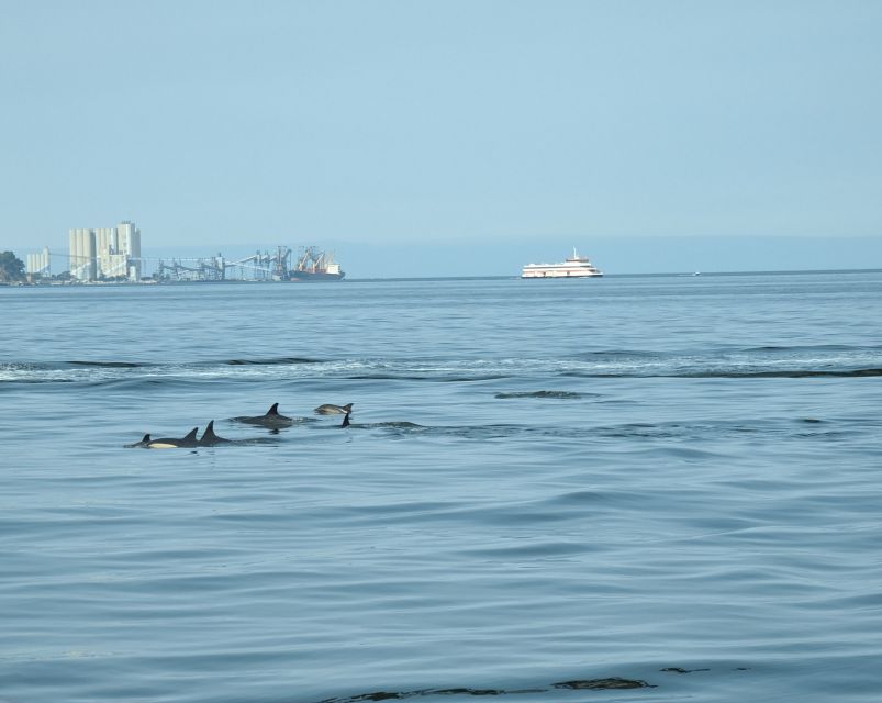 Lisbon: Scenic Day & Sunset Boat Tour with a Drink - Start at Doca de Alcantara: The Perfect Launchpad for Lisbon Exploration