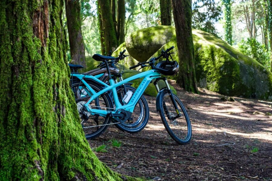 Lisbon: Sintra, Cascais, Cabo da Roca by E-Bike + Transfer - Cycling Through Sintra’s Natural Wonders