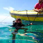 Lisbon: Try Scuba Diving in Arrábida Marine Reserve w/photos - Meeting Point and Logistics at Clube Naval de Sesimbra