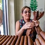 Little Havana Walking Tour + 1 Hour Everglades Airboat Ride - Exploring Little Havanas Vibrant Streets