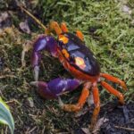 Livorno: Aquarium Entrance Ticket - Key Points