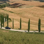 Livorno Private Departure Transfer: Central Florence to Cruise Port - Group Size and Vehicle Options for Comfort and Privacy