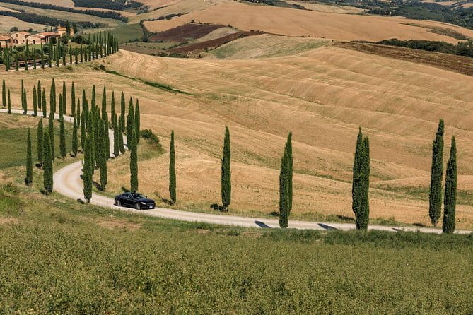 Livorno Private Departure Transfer: Central Florence to Cruise Port - Group Size and Vehicle Options for Comfort and Privacy