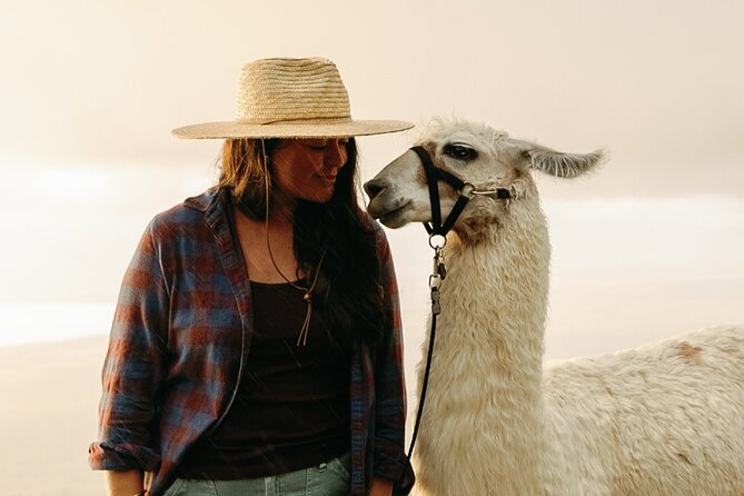 Llama Sunset Hike - Walking a Llama: What to Expect During the Hike