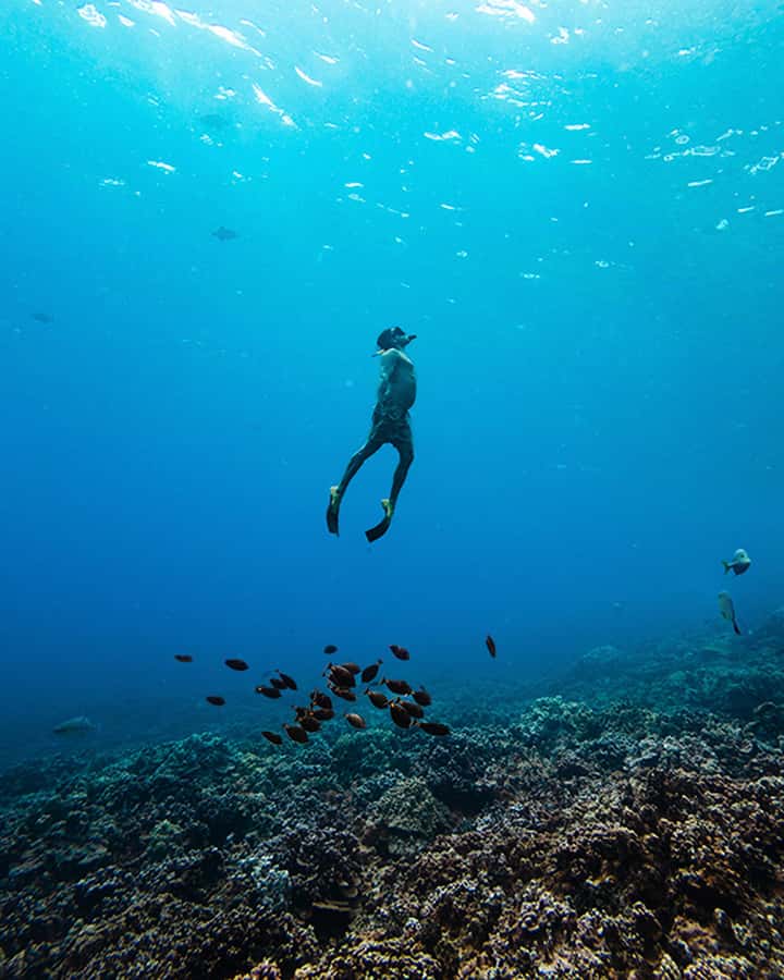 Lna'i Coast Snorkel & Sail from Lahaina - Scenery and Sailing Along Maui’s Coastlines