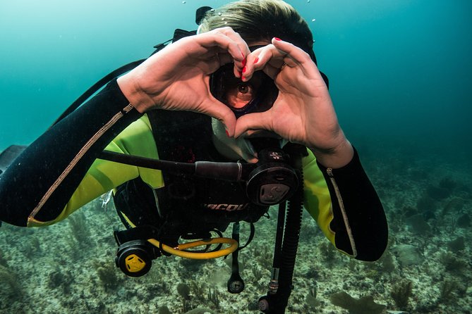 Local Dive in Playa del Carmen - What Certified Divers Can Expect During This Tour