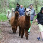 Loch Ness with Castles, Beaches, Mountains and MONSTERS - Exploring Fort Augustus and the Caledonian Canal