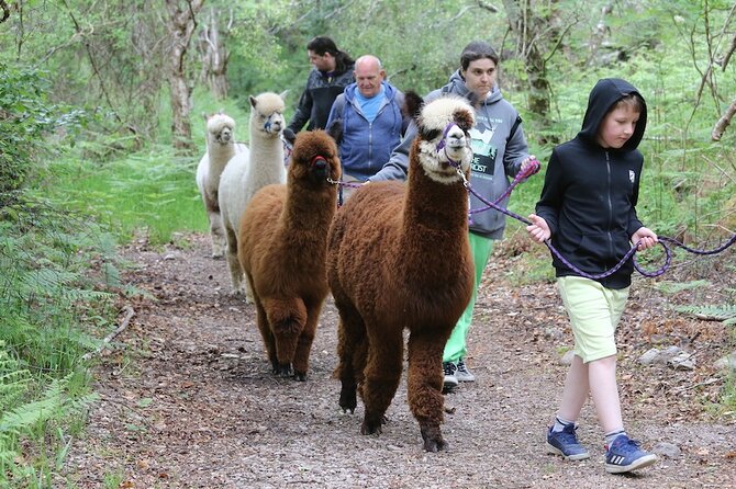 Loch Ness with Castles, Beaches, Mountains and MONSTERS - Exploring Fort Augustus and the Caledonian Canal