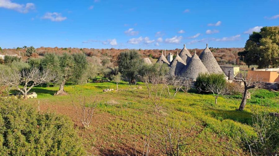 Locorotondo and Cisternino: E-Bike Tour with Ice Cream - Savoring Artisanal Ice Cream in Cisternino’s Historic Center