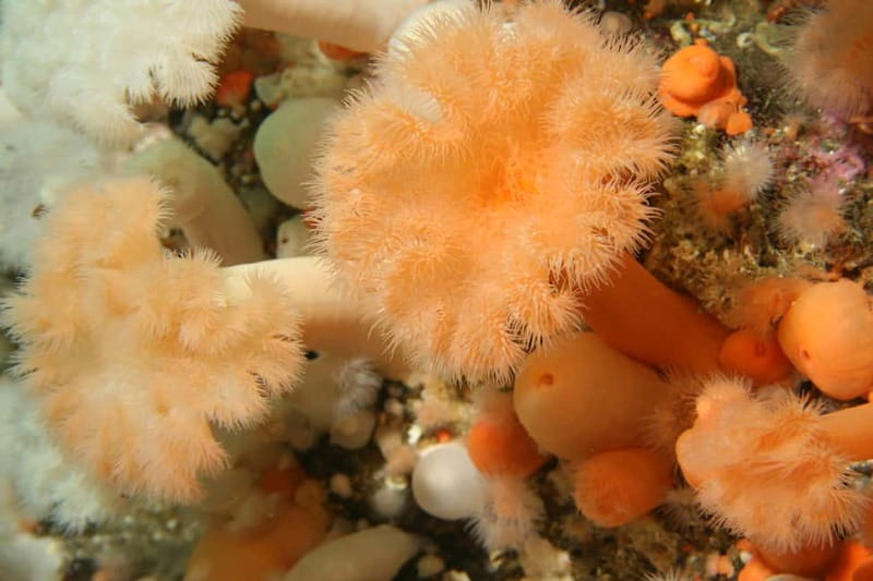 Lofoten: First Time Scuba Diving Experience - Starting Point at Øyaveien 31 and the Meeting Experience