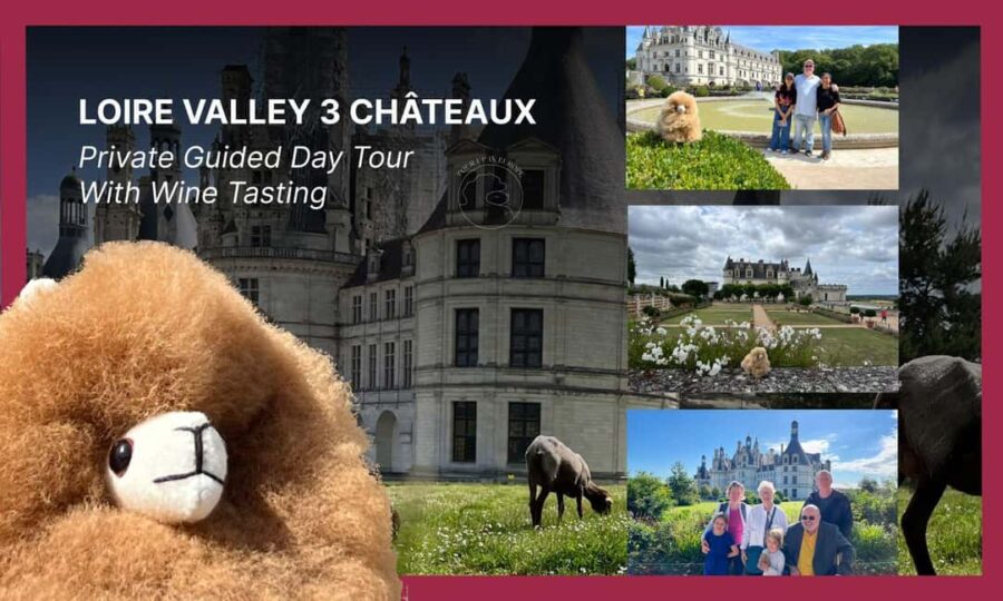 Loire Castles Day Trip & Wine Tasting - From Hotel Pickup to the Loire Valley: Starting the Journey