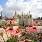 Loire Valley Most Visited Castles Private Tour from Tours or Amboise - Wine Tasting at Caves Ambacia: Regional Flavors and Culture