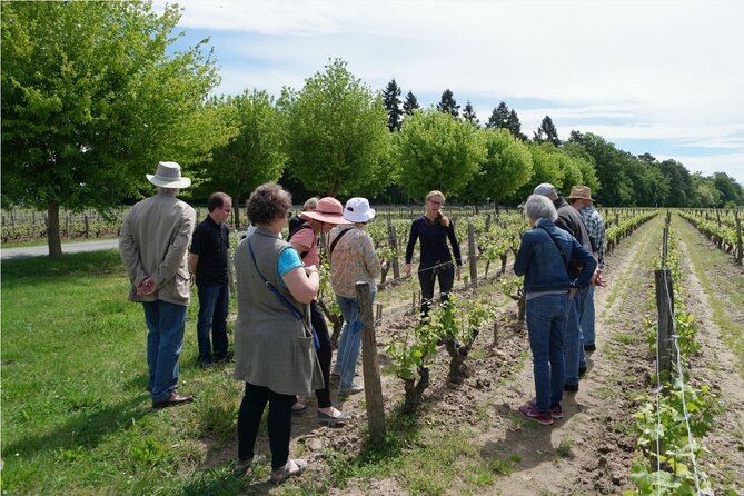 Loire Valley Wines Private Day Tour with Tastings from Tours or Amboise - Exploring Chinon: Medieval Streets and Wineries