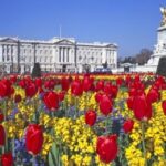 London: Westminster Tour and Windsor Castle Entry Ticket - Starting at The Ritz London: Meeting Point for the Westminster Tour
