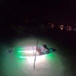 Longboat Key Clear Kayak LED Illuminated Night Tour Sarasota - Exploring Longboat Key’s Nocturnal Marine Life