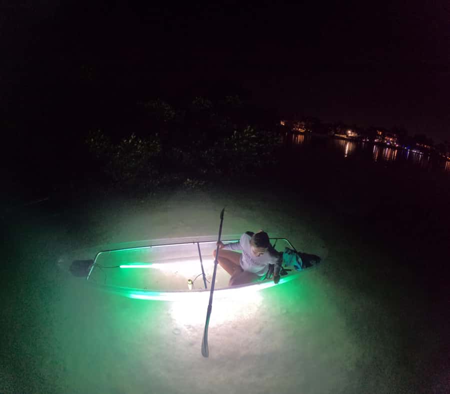 Longboat Key Clear Kayak LED Illuminated Night Tour Sarasota - Exploring Longboat Key’s Nocturnal Marine Life