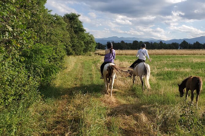 Lori Canyon Vacations - Horse Riding Tips and Cultivated Fields Tour