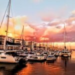 Los Angeles #1: Luxury Boat Cruise-Wine, Cheese & Sea Lions - Observing Marine Wildlife Along Marina Del Rey
