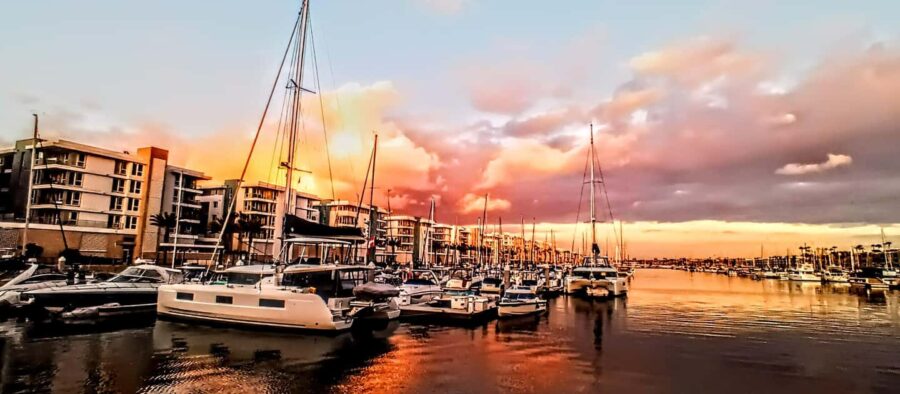 Los Angeles #1: Luxury Boat Cruise-Wine, Cheese & Sea Lions - Observing Marine Wildlife Along Marina Del Rey