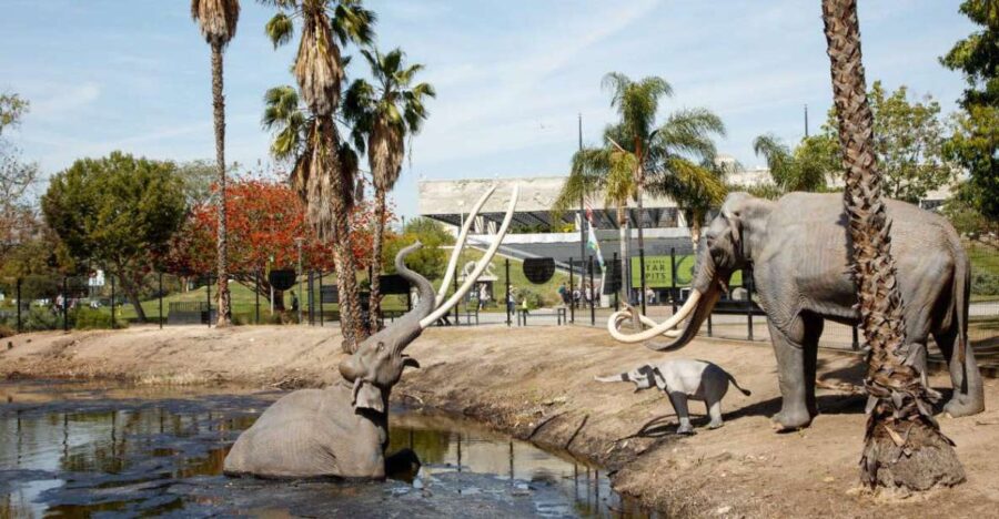 Los Angeles: La Brea Tar Pits Museum Ticket - The Location and How to Get There