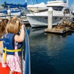 Los Angeles: Redondo Beach Glass Bottom Boat Cruise - The Starting Point at Redondo Beachs International Boardwalk
