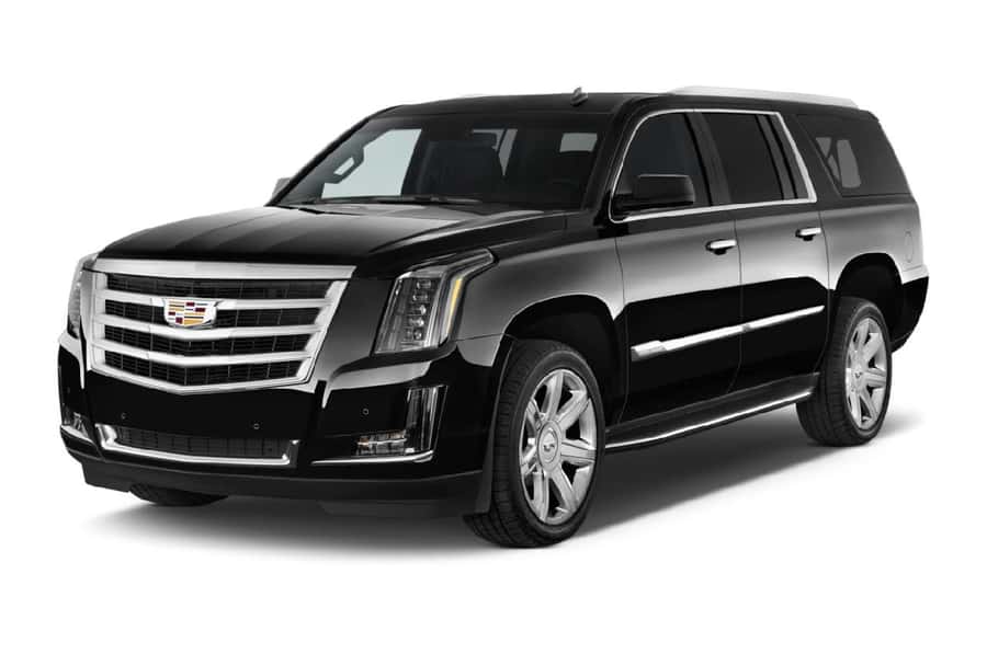 Los Angeles: Small Group Tour in SUV -5 hrs. - Pickup and Drop-Off in Los Angeles and Orange County