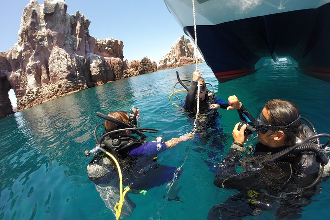 Los Cabos 2 tanks dive to The Corridor (Certified divers) - Starting Point at Sunrider Tours in Cabo San Lucas